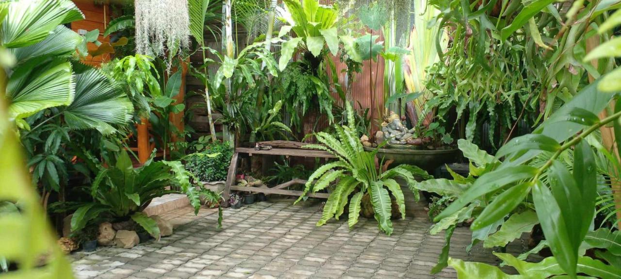 Ouychai Resort Home Stay Чиангмай Экстерьер фото
