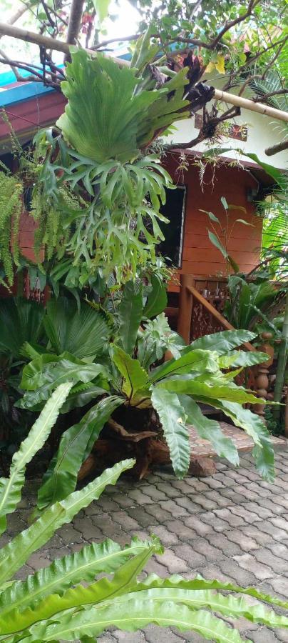 Ouychai Resort Home Stay Чиангмай Экстерьер фото